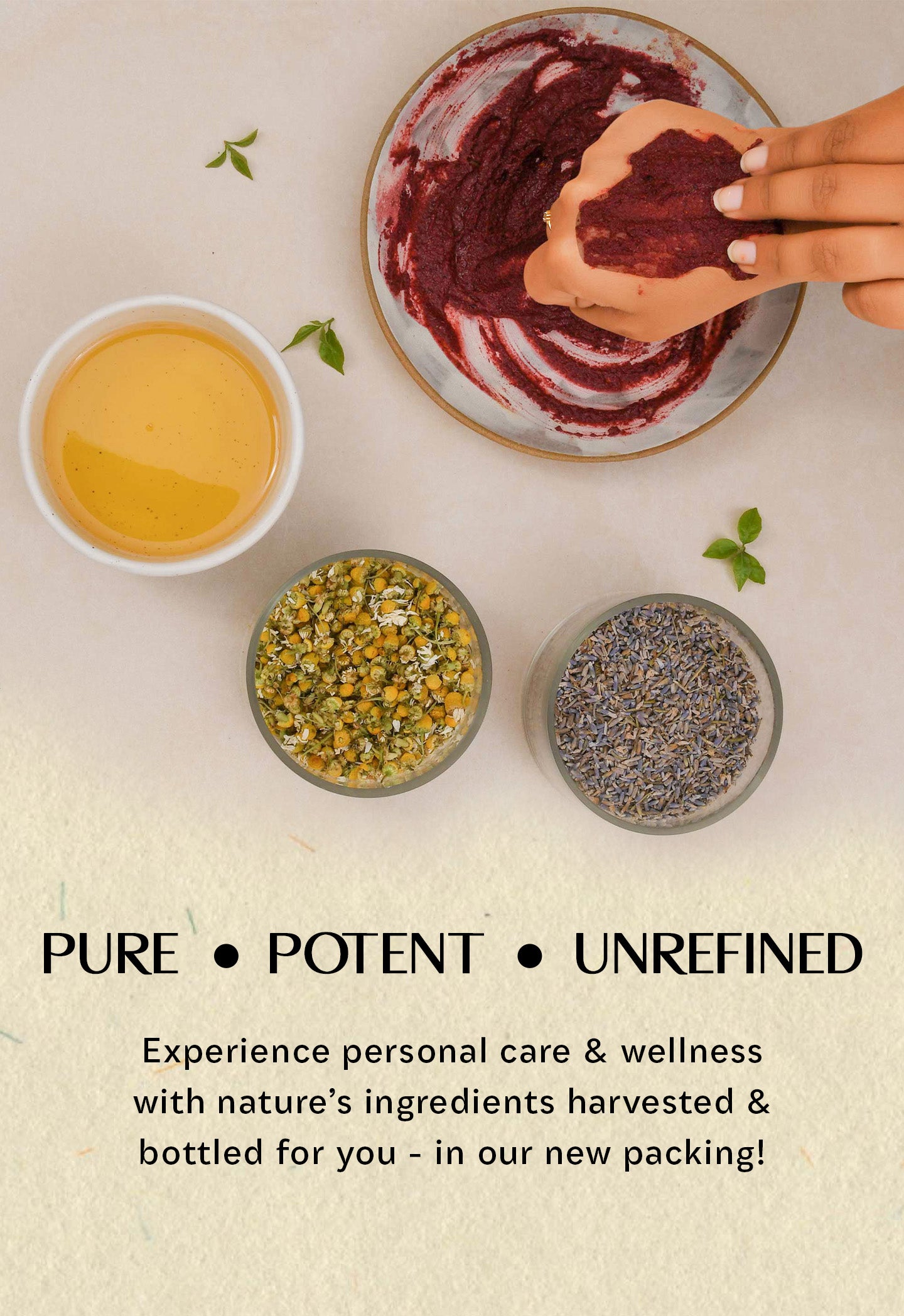 Website banner for pure ingredients from Blend It Raw mobile version