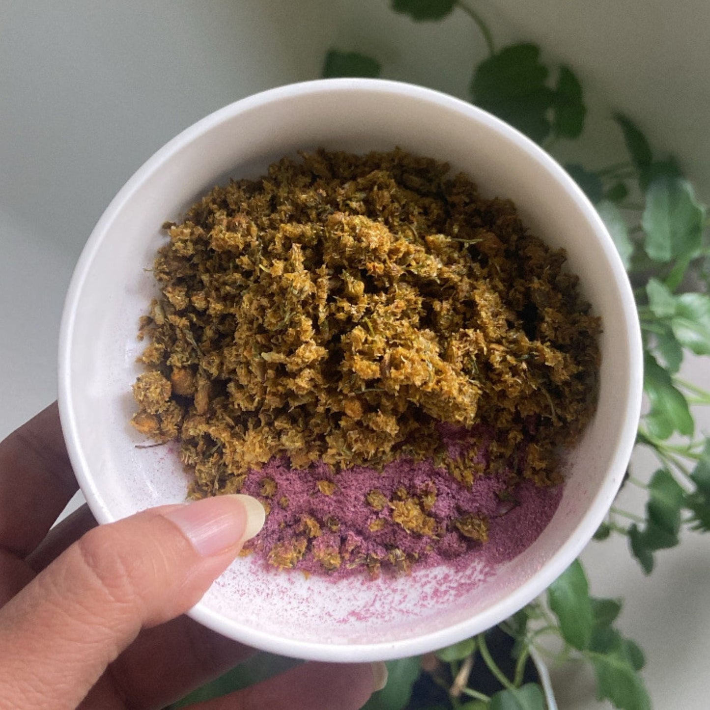 Chamomile Flower Body Scrub