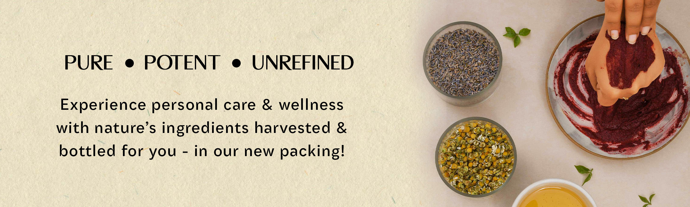 Website banner for pure ingredients from Blend It Raw