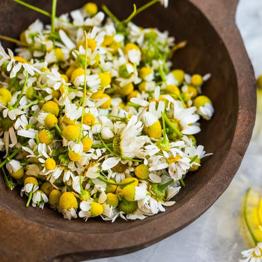 Chamomile Hydrosol [Calming Facial Mist]- Limited Edition (100ml)