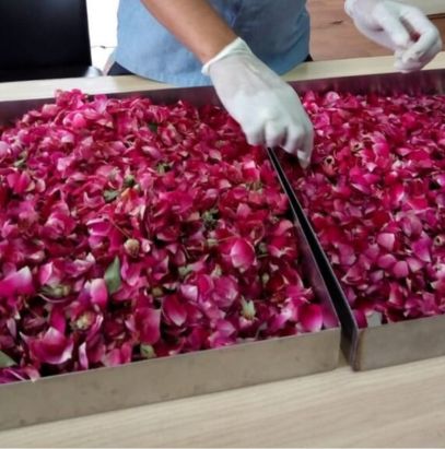 Rose petals