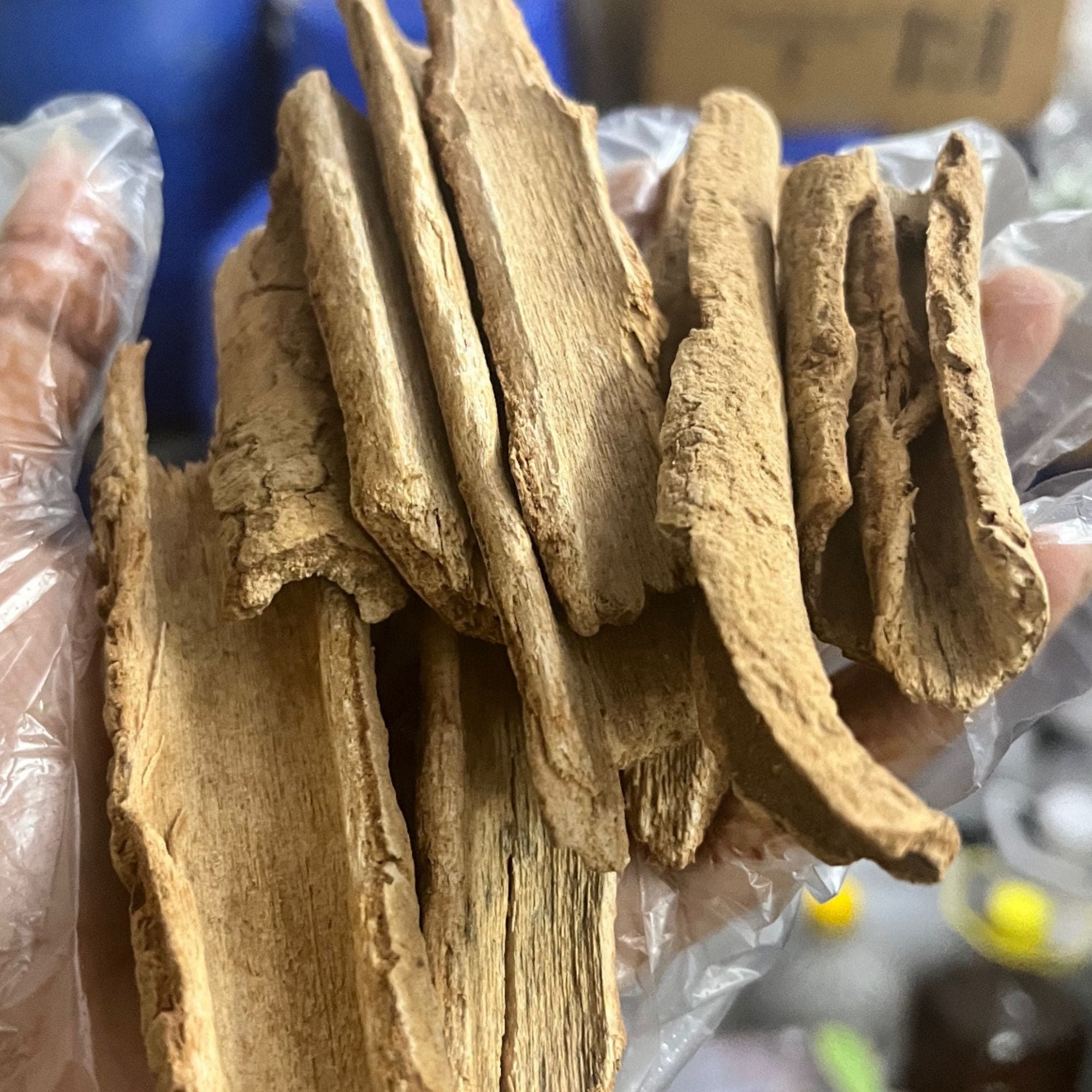 Lodhra Bark Powder, 100g – Blend It Raw Apothecary