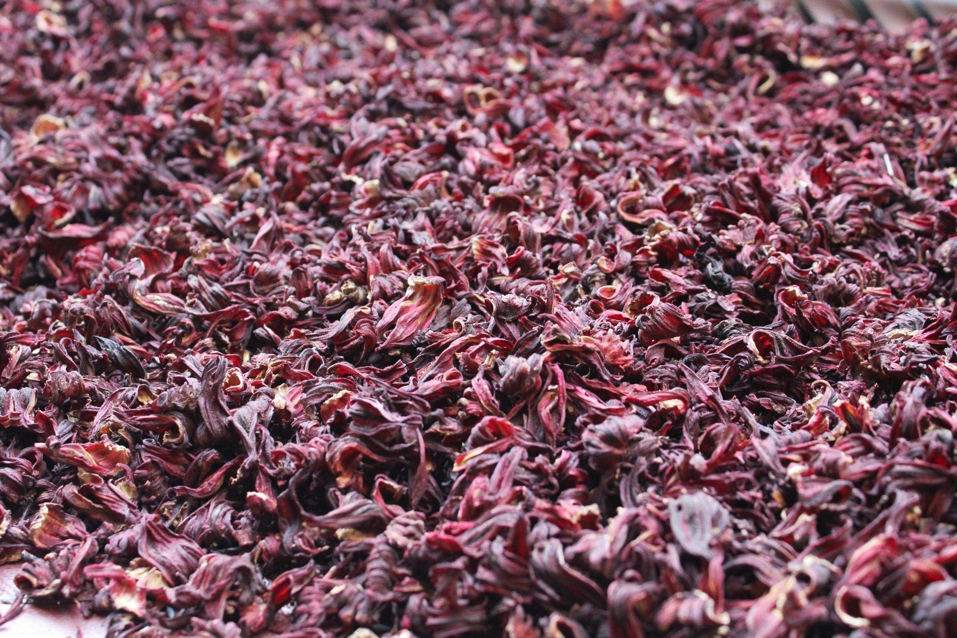Dried Hibiscus Flower for Hair  Dried Hibiscus Flower Benefits